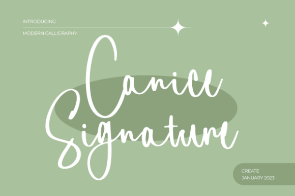 Canice Signature Font for Elegant Branding