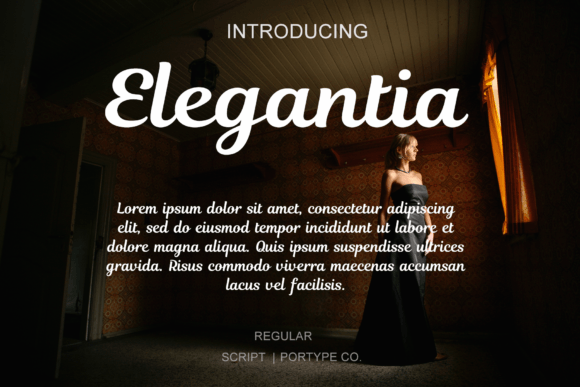Elegantia Font Review
